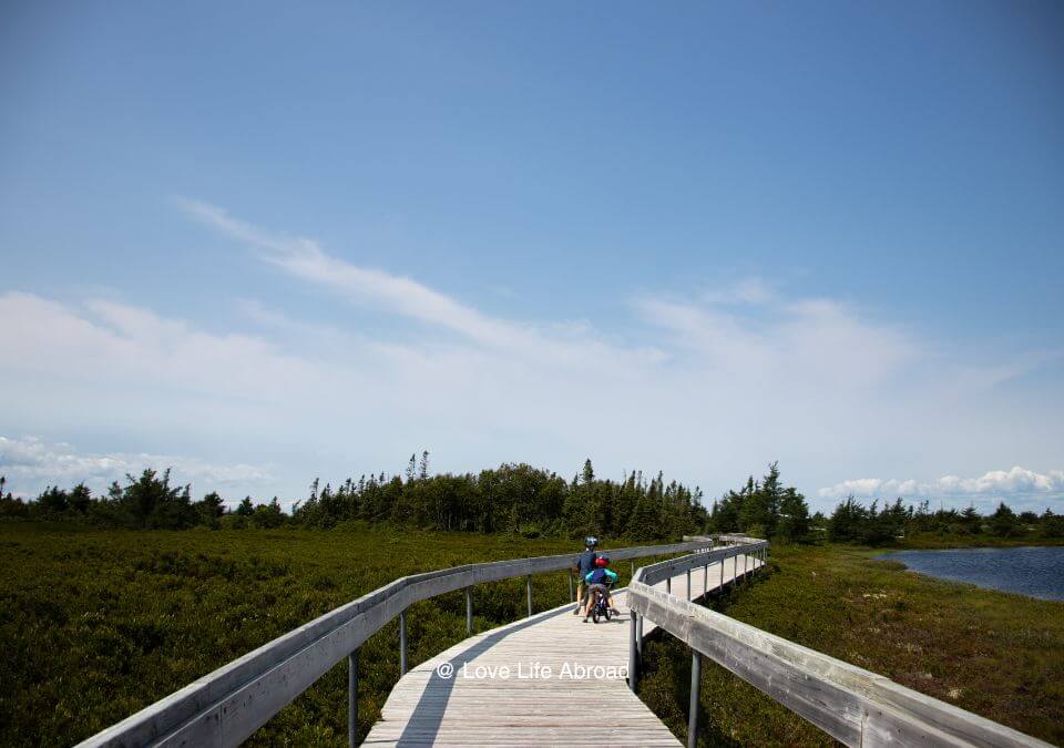 Peat Bog Boardwalk in Miscou Island