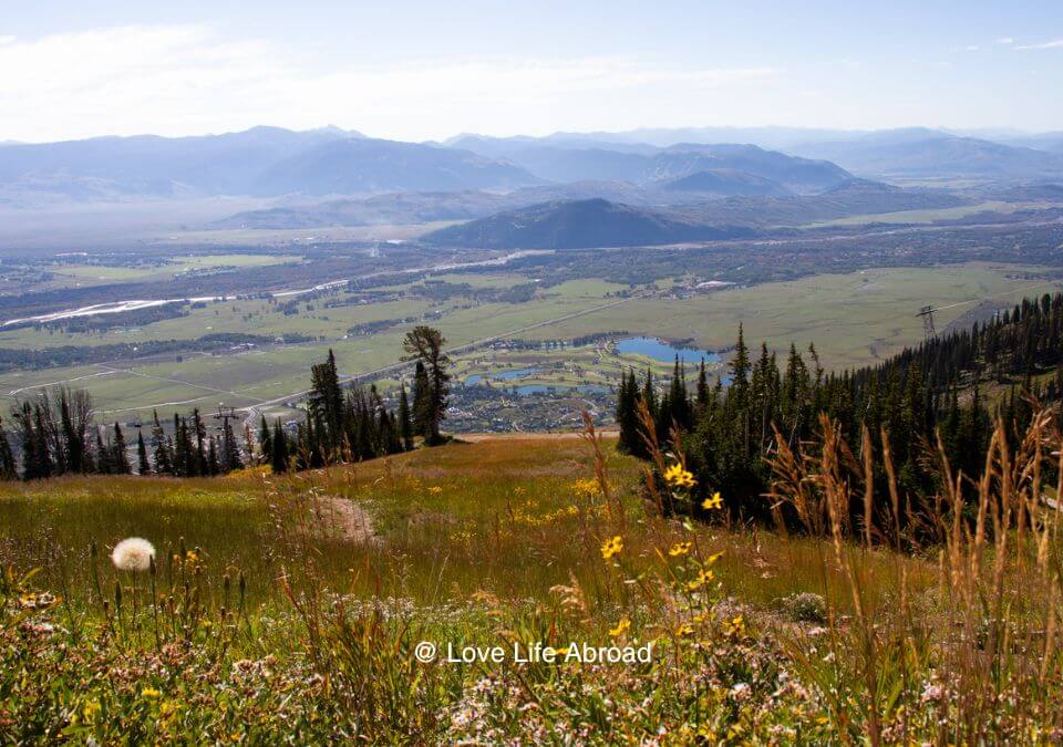 Almost at the summit on the Wildflower Trail at Teton Village