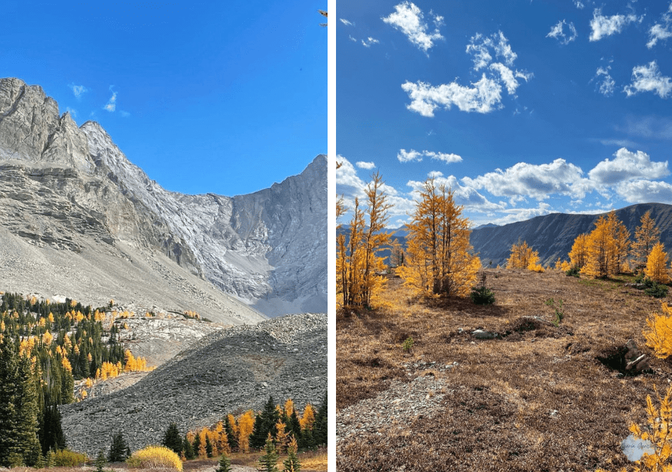 Arethusa Cirque in Kananaskis Country