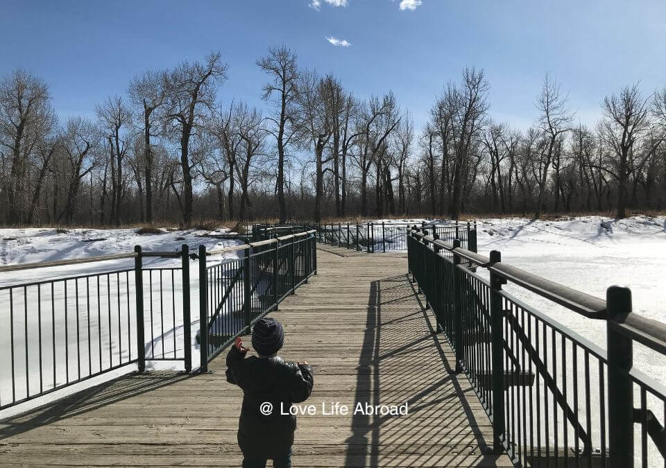 Exploring Inglewood Bird Sanctuary in the winter