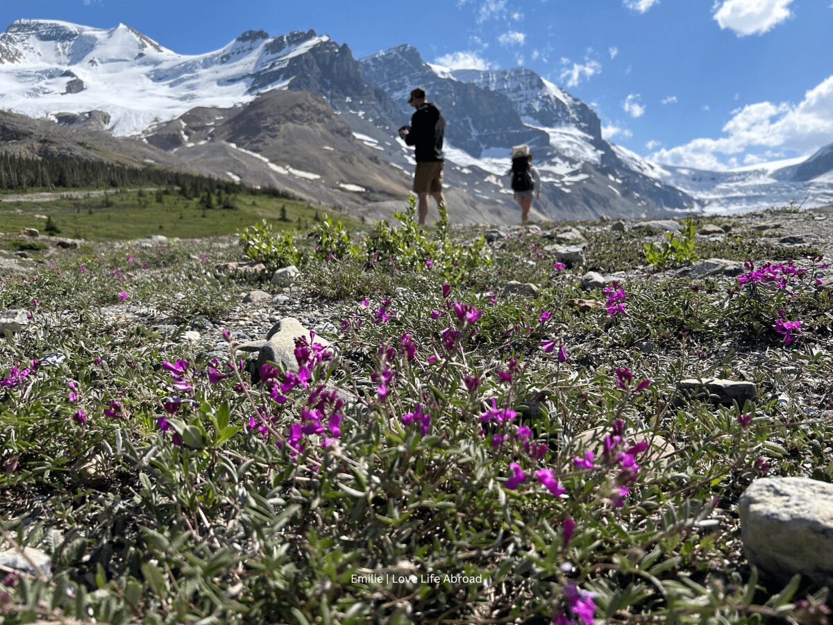 Icefields Parkway stops in the Canadian Rockies