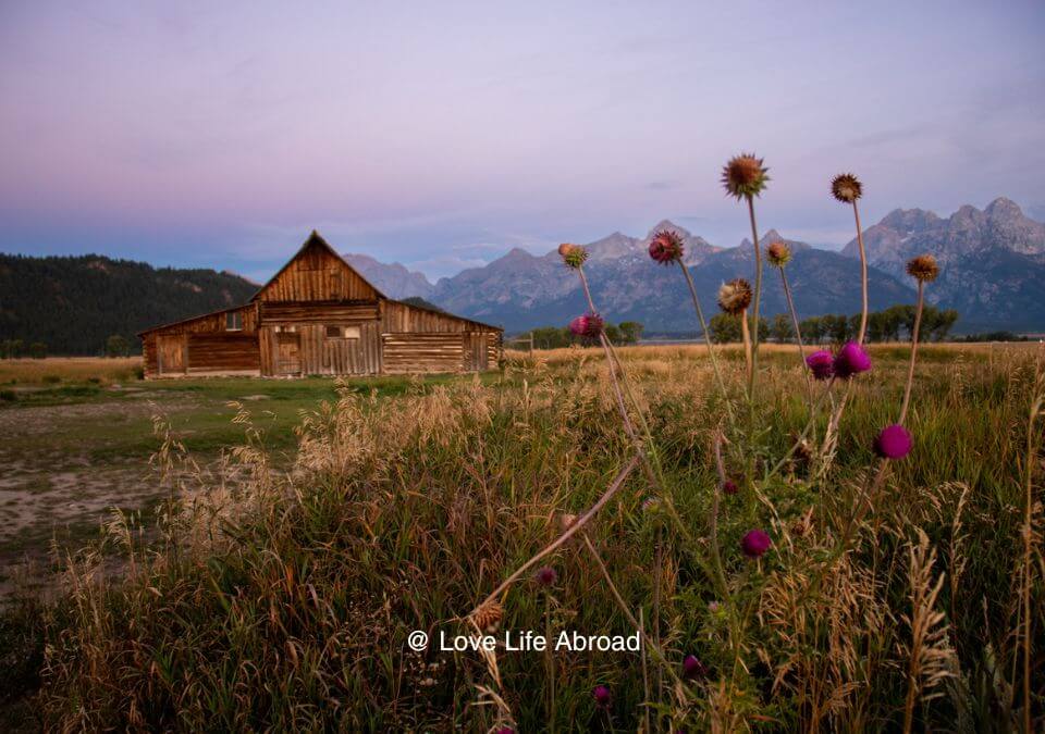 Sunrise over the Moulton Barn at Mormon Row Historic District