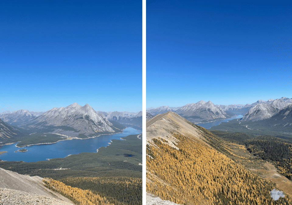 Tent Ridge in Kananaskis Country