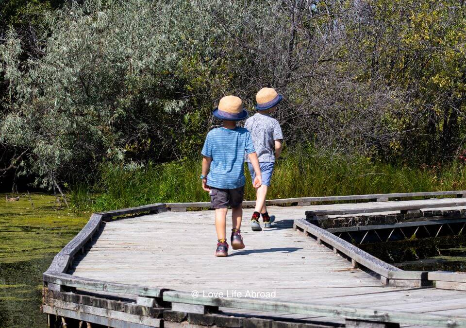 Walking on the floating boardwalk at FortWhyte Alive in Winnipeg 