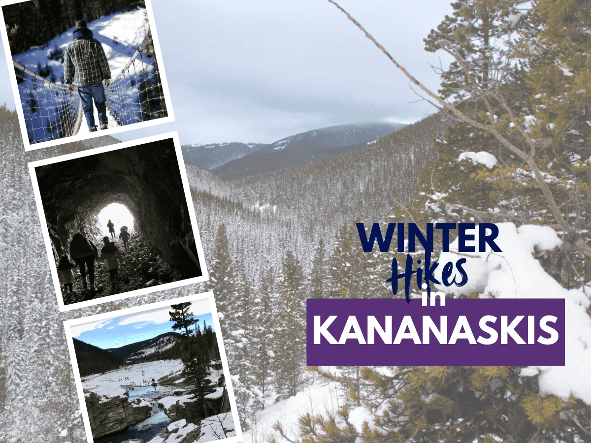 BEST Winter Hikes in Kananaskis