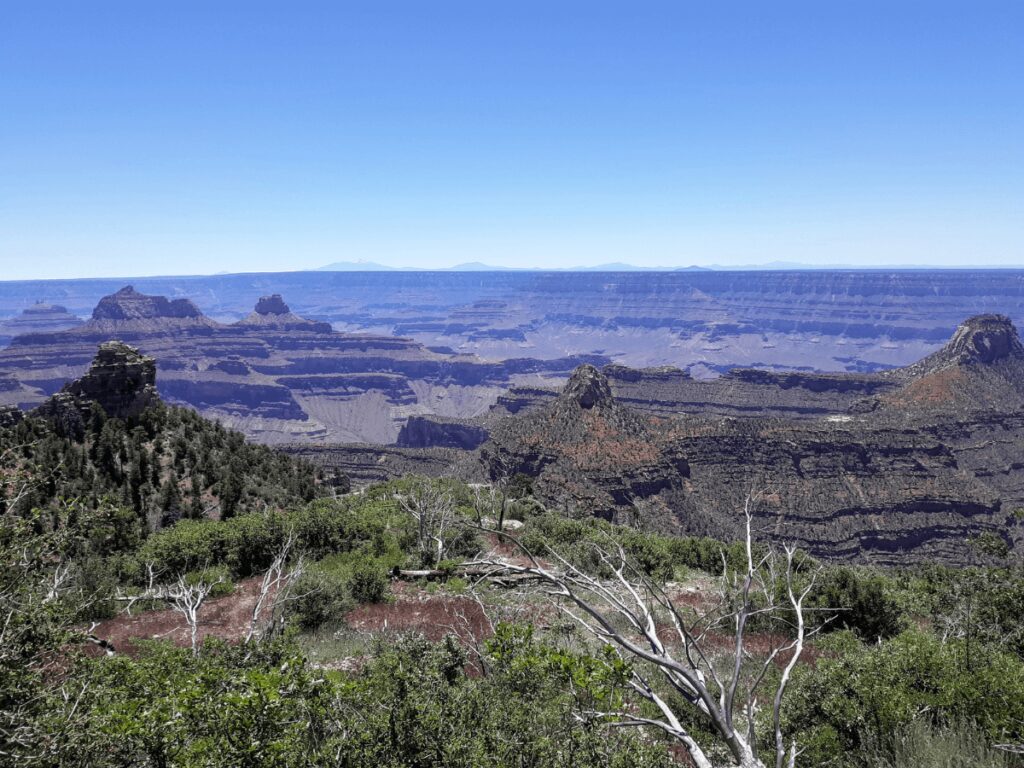 Grand Canyon North Rim Widforss