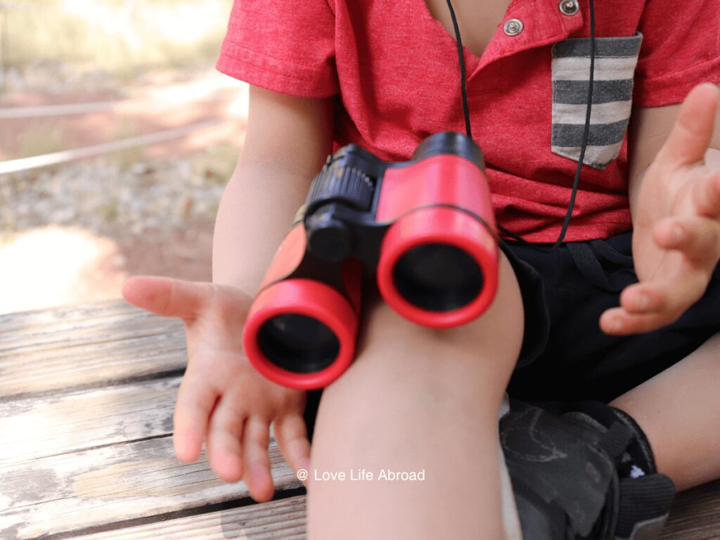 My son searching for birds with his binoculars Its what one of the things to find in the Junior ranger booklet