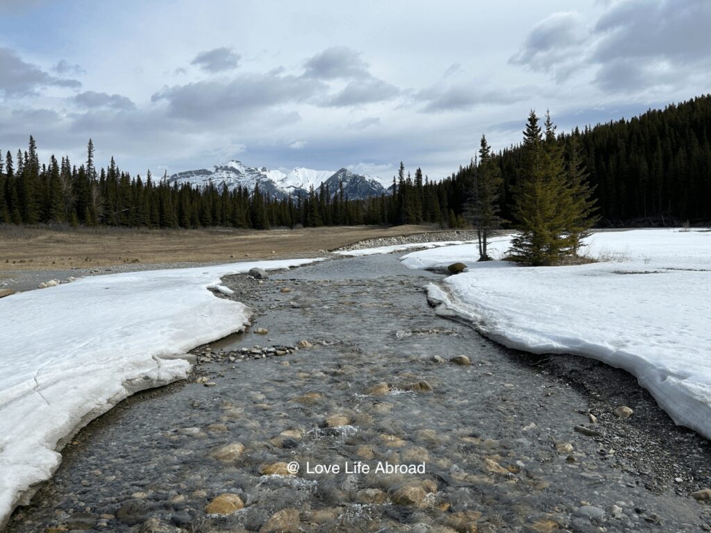 Walking over the river at Cascade Ponds at the end of the winter 1