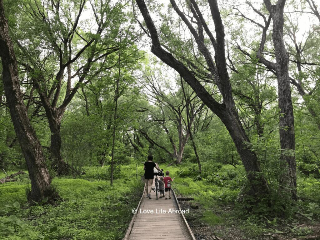 biking around Domaine de Maizeret