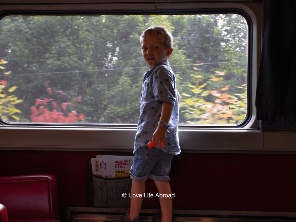 my son looking out the window from the Agawa Canyon train ride