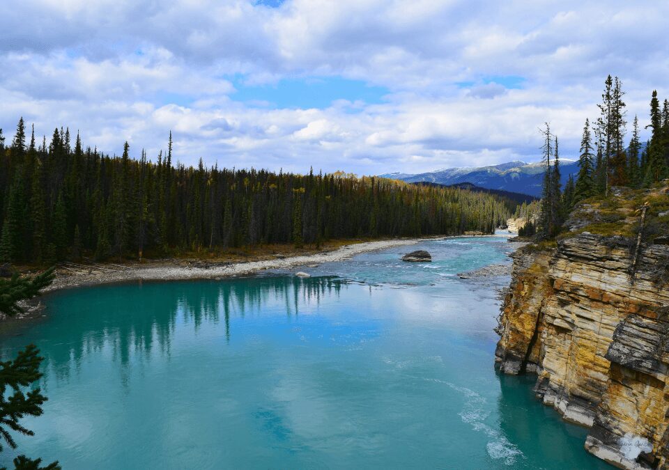 Athabasca Falls Viewpoint