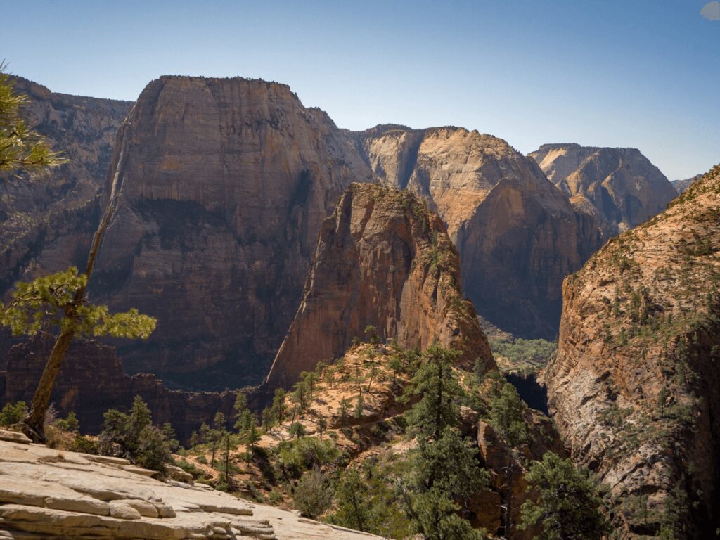 Scout Lookout Trail in Zion