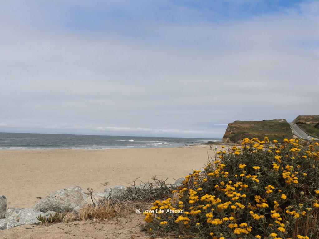 The drive between San Francisco and Santa Cruz is beautiful