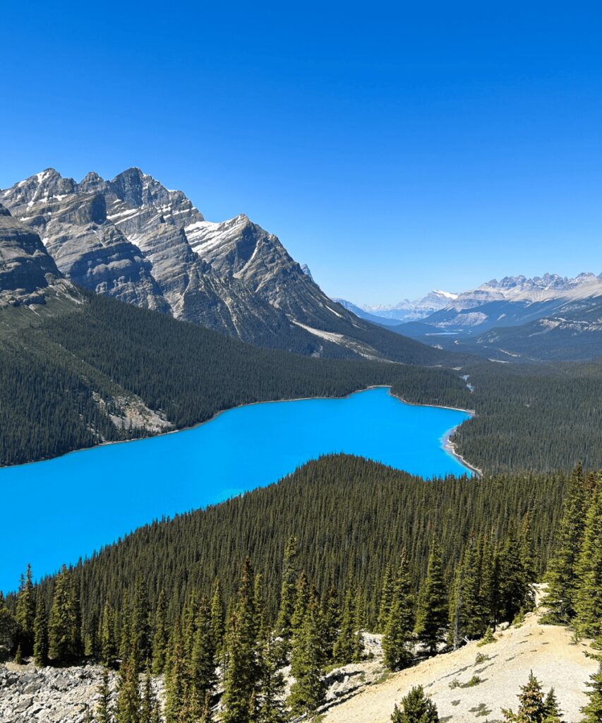 peyto lake in june