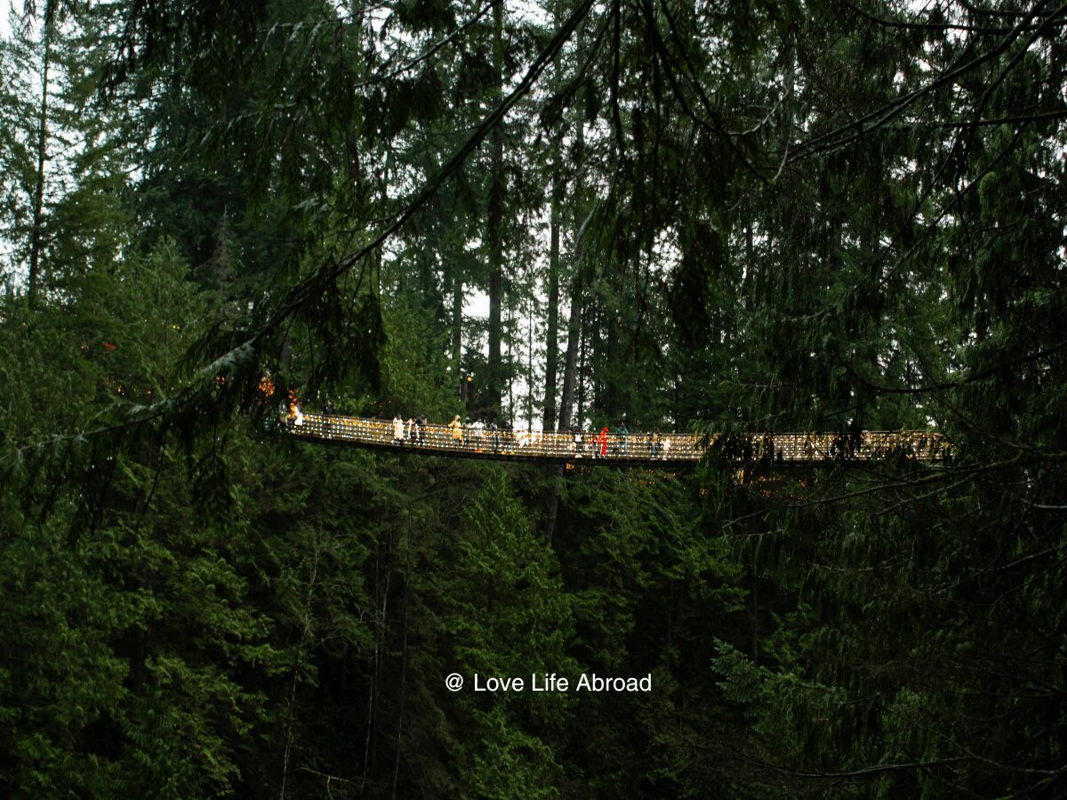 Capilano Suspension bridge