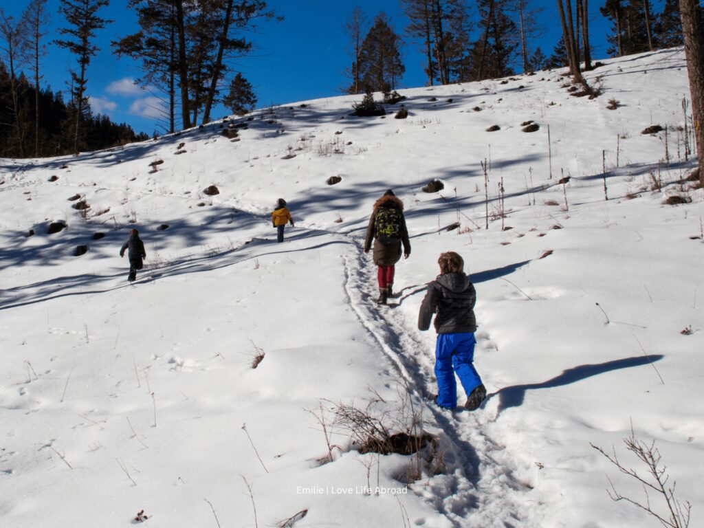 we started at the radium hot spring pool parking lot to hike the Juniper Sinclair Canyon trail 1