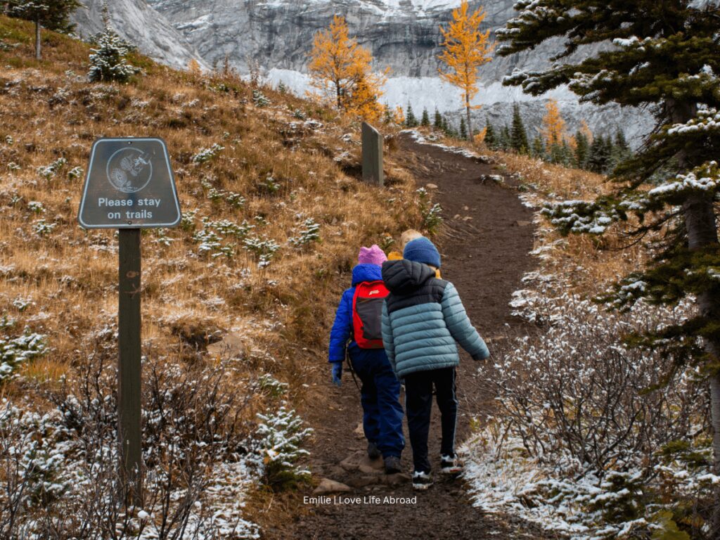 Ptarmigan Cirque hike in Kananaskis during larch season