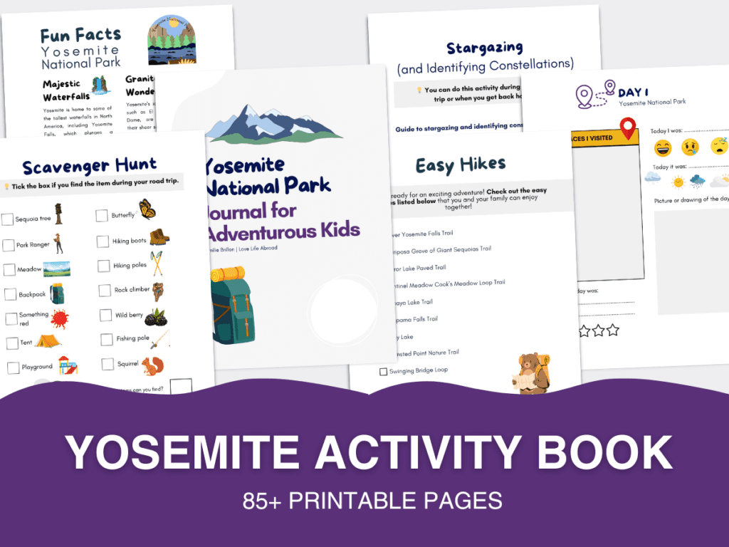 Yosemite Activity Book