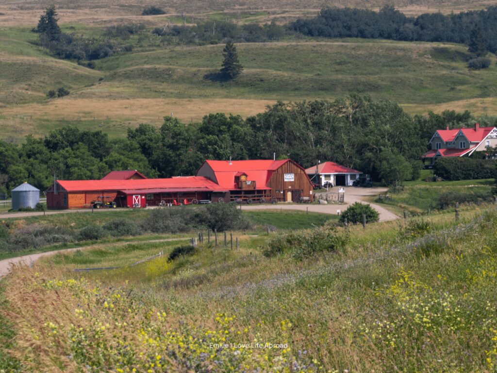 arriving the Historic Reesor Ranch 