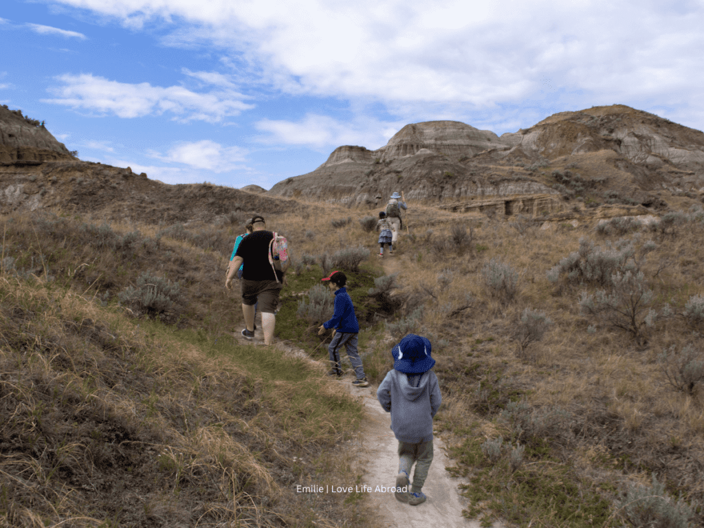 one of the hiking trails on the scenic loop at Dinosaur Provincial Park