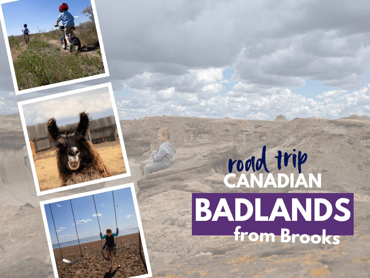 Exploring the Canadian Badlands from Brooks