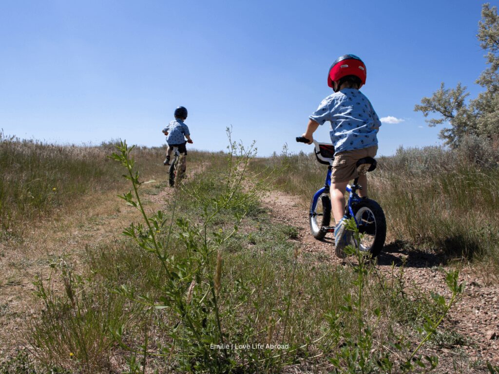 kinbrook-marsh-trail