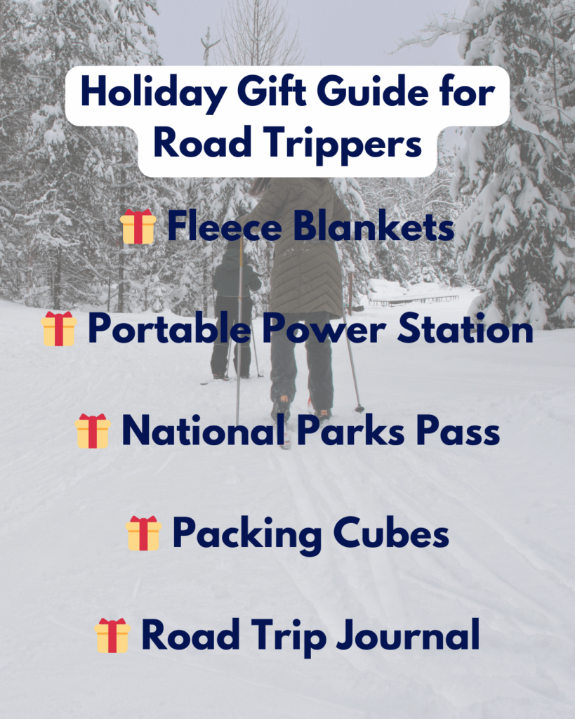 Holiday Gift Guide for Road Trippers