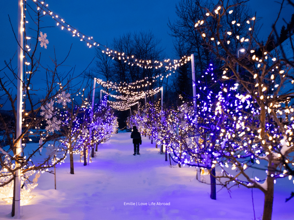 The light path at the Northern Lights Winery was so cool.