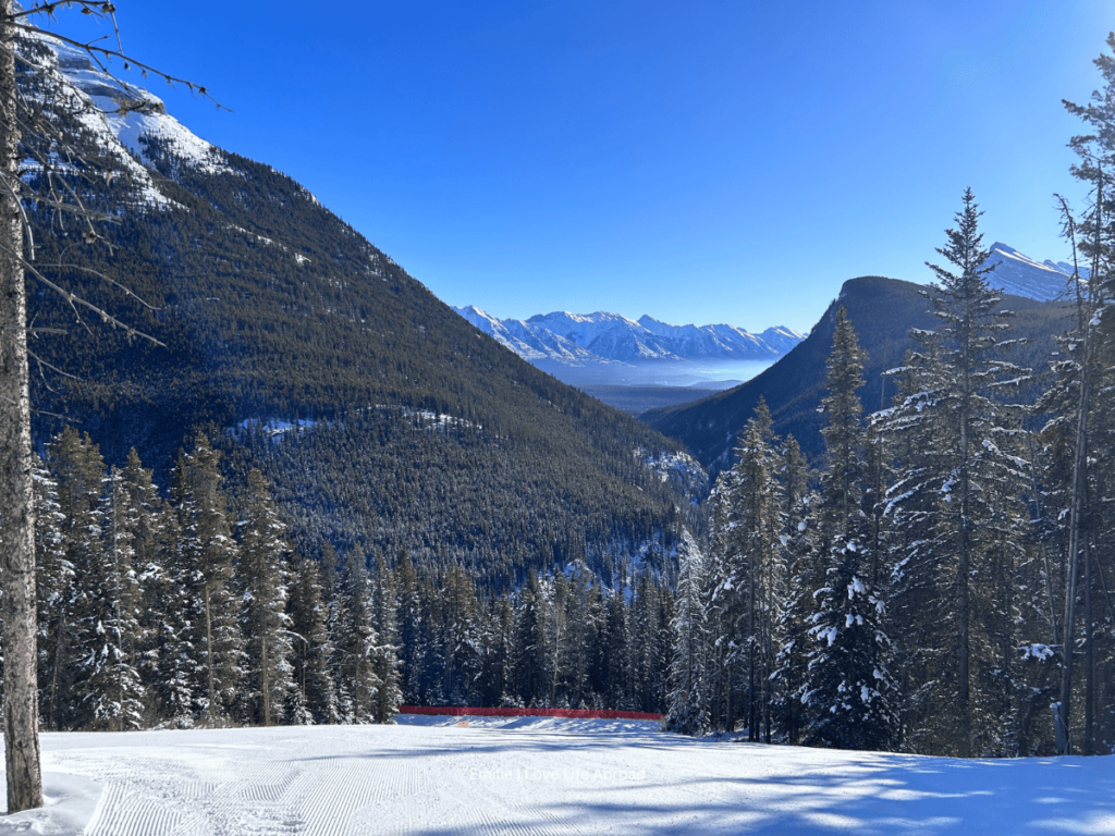 view at Mt Norquay in Banff skiing down the mountain