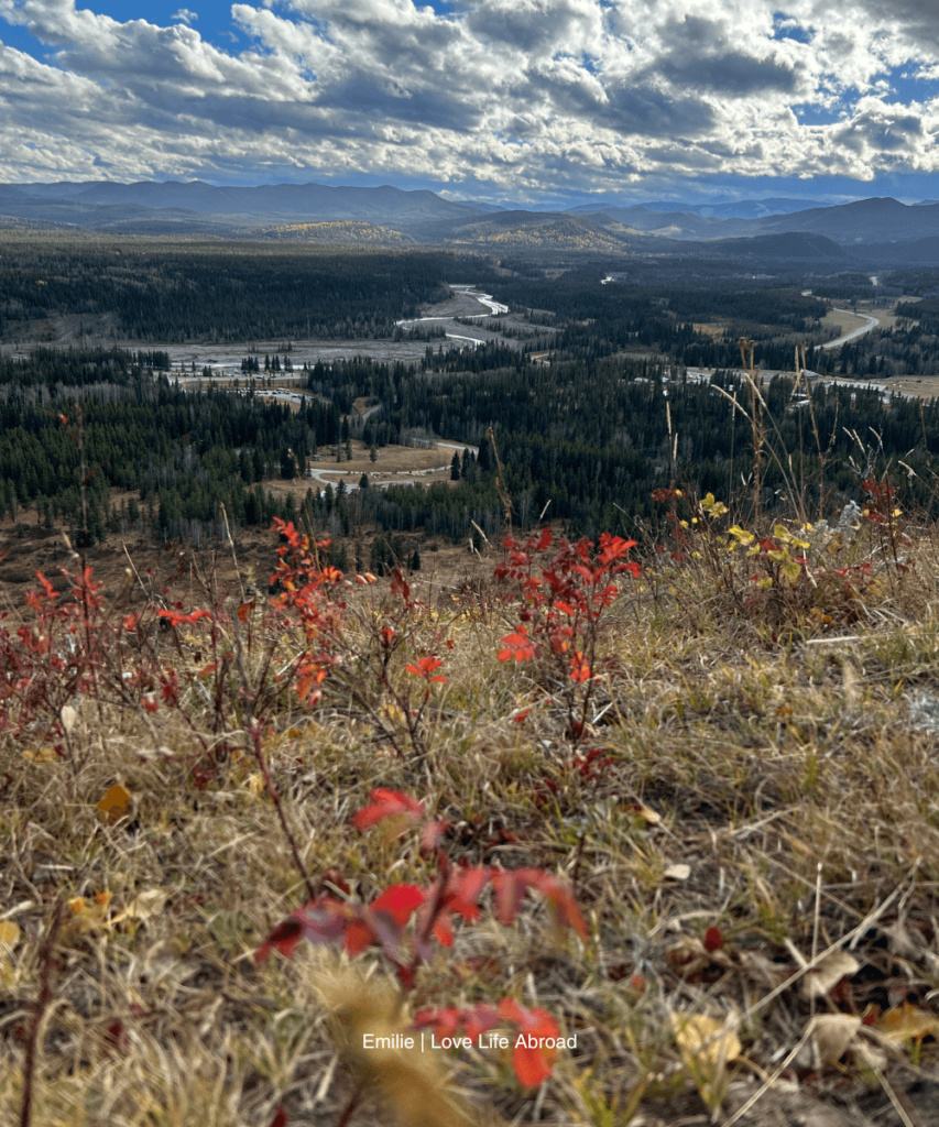 Hiking the Fulleton Lopp in Bragg Creek and enjoying the breathtaking viewpoint