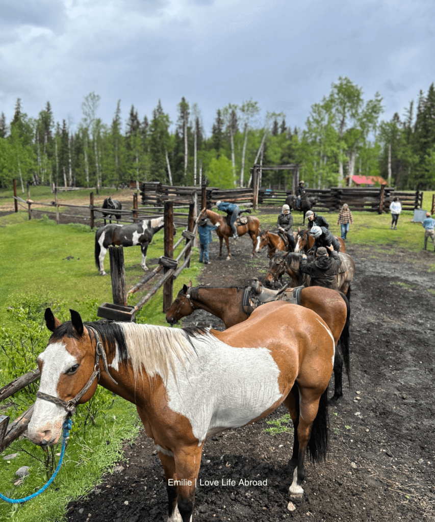 Horseback riding in Alberta