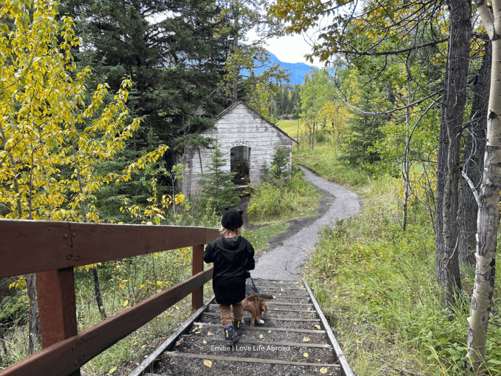 lower bankhead trail in Banff