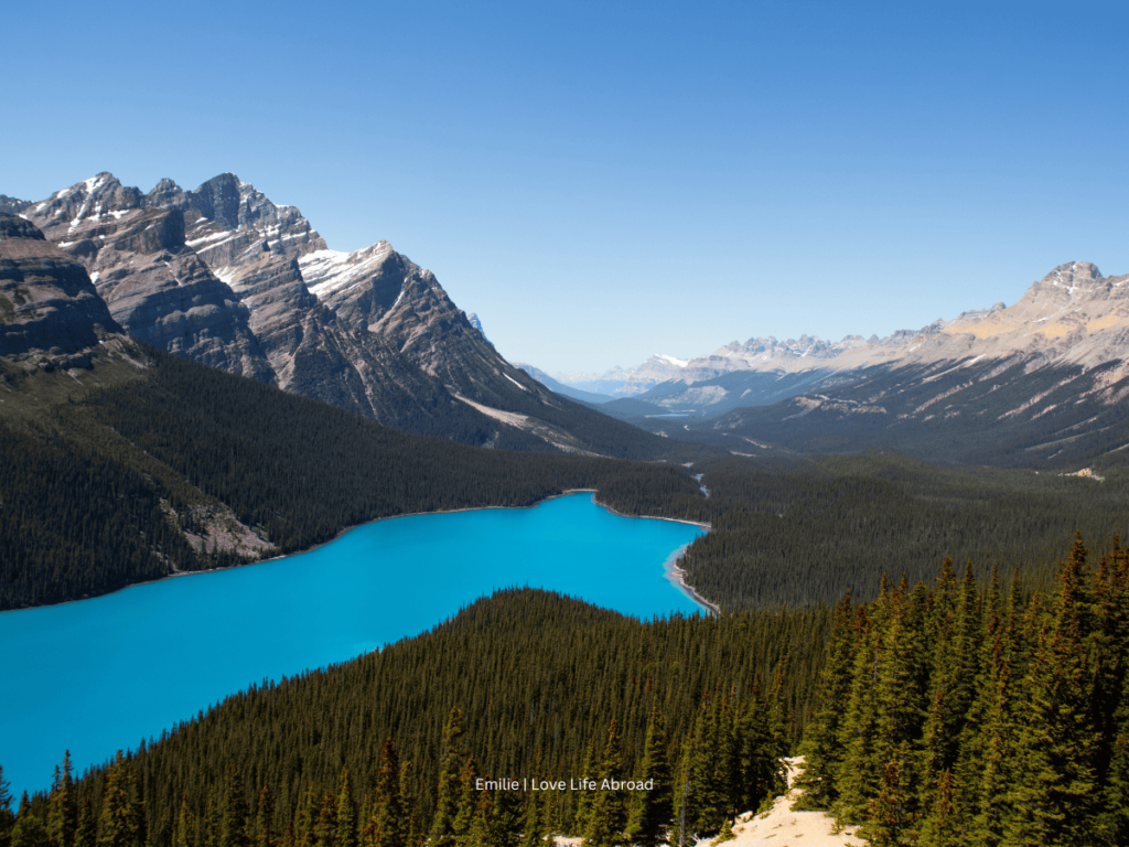 You can see Peyto Lake from the viewing plateform.