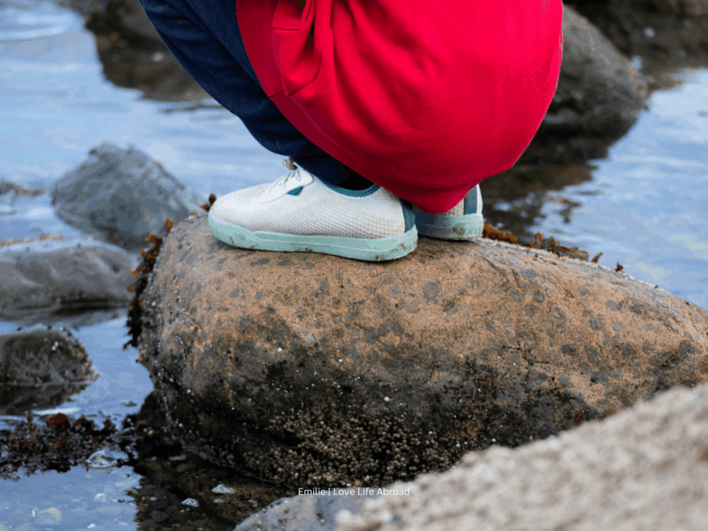 On a rock in the middle of the water with the Vessi shoes that are waterproof